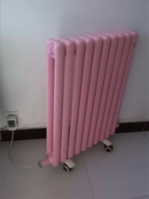 冬日温暖守护 电暖器的挑选与使用指南